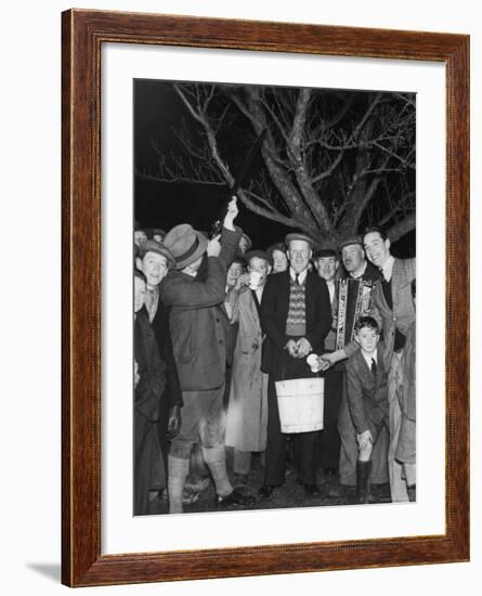 Apple Tree Custom Trees are Toasted with Mulled Cider While Singing a Wassail Song-null-Framed Photographic Print