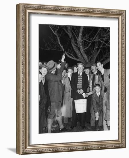 Apple Tree Custom Trees are Toasted with Mulled Cider While Singing a Wassail Song-null-Framed Photographic Print