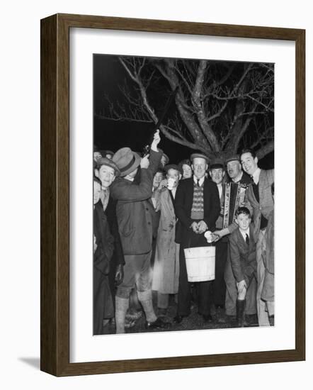 Apple Tree Custom Trees are Toasted with Mulled Cider While Singing a Wassail Song-null-Framed Photographic Print