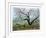 Apple Tree Flock-Allen Friedman-Framed Limited Edition