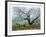 Apple Tree Flock-Allen Friedman-Framed Limited Edition