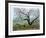 Apple Tree Flock-Allen Friedman-Framed Limited Edition