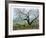 Apple Tree Flock-Allen Friedman-Framed Limited Edition