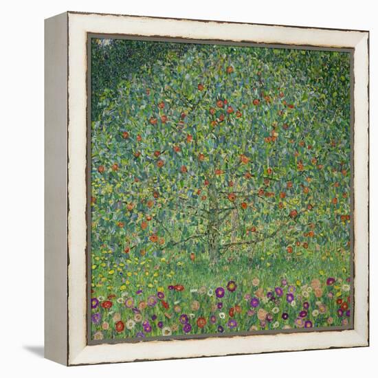 Apple Tree I, 1911 or 1912 Oil on canvas (109 x 110 cm) Estates of Ferdinand and Adele Bloch-Bauer.-Gustav Klimt-Framed Premier Image Canvas