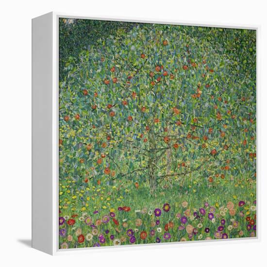 Apple Tree I, 1911 or 1912 Oil on canvas (109 x 110 cm) Estates of Ferdinand and Adele Bloch-Bauer.-Gustav Klimt-Framed Premier Image Canvas