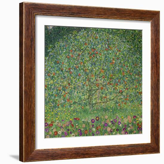 Apple Tree I, 1911 or 1912 Oil on canvas (109 x 110 cm) Estates of Ferdinand and Adele Bloch-Bauer.-Gustav Klimt-Framed Giclee Print