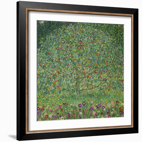 Apple Tree I, 1911 or 1912 Oil on canvas (109 x 110 cm) Estates of Ferdinand and Adele Bloch-Bauer.-Gustav Klimt-Framed Giclee Print