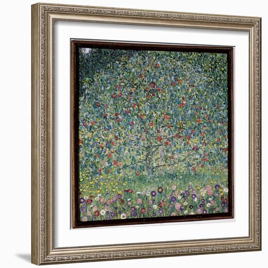 Apple Tree I, 1912-Gustav Klimt-Framed Giclee Print