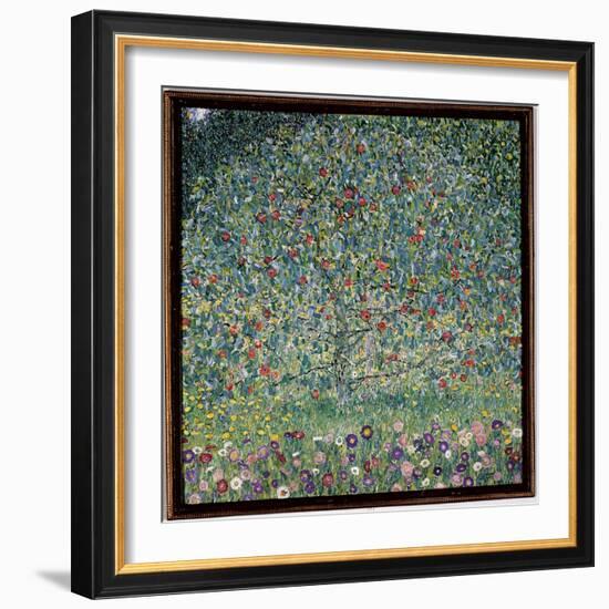 Apple Tree I, 1912-Gustav Klimt-Framed Giclee Print