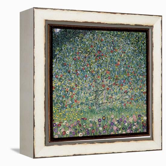 Apple Tree I, 1912-Gustav Klimt-Framed Premier Image Canvas