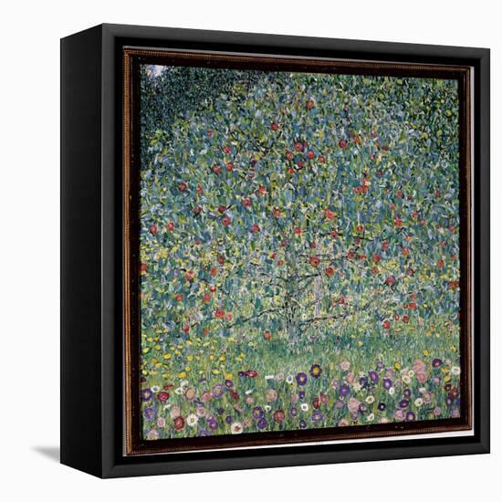 Apple Tree I, 1912-Gustav Klimt-Framed Premier Image Canvas