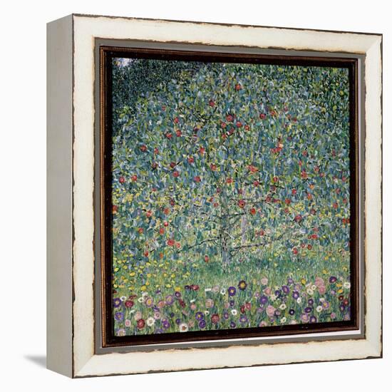 Apple Tree I, 1912-Gustav Klimt-Framed Premier Image Canvas