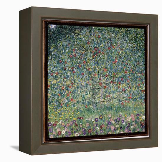 Apple Tree I, 1912-Gustav Klimt-Framed Premier Image Canvas