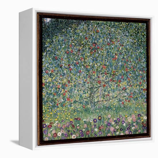 Apple Tree I, 1912-Gustav Klimt-Framed Premier Image Canvas