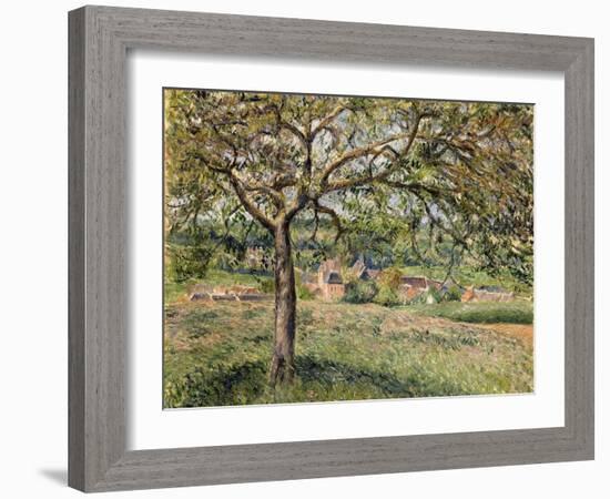 Apple Tree in Eragny, 1884-Camille Pissarro-Framed Giclee Print