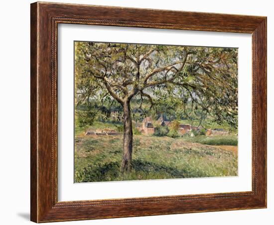Apple Tree in Eragny, 1884-Camille Pissarro-Framed Giclee Print