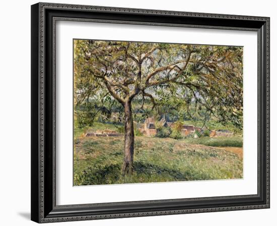 Apple Tree in Eragny, 1884-Camille Pissarro-Framed Giclee Print
