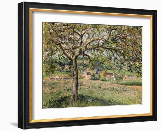 Apple Tree in Eragny, 1884-Camille Pissarro-Framed Giclee Print