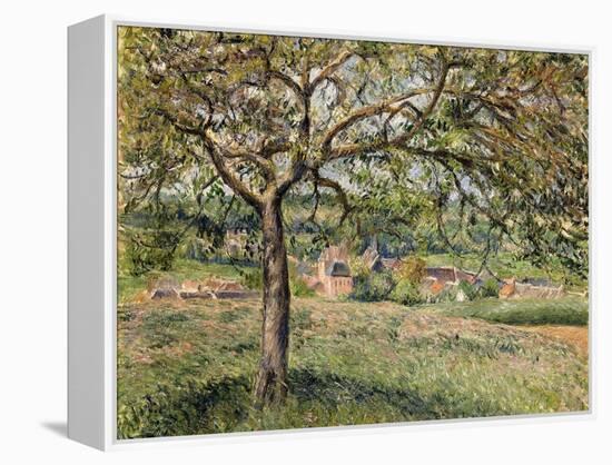 Apple Tree in Eragny, 1884-Camille Pissarro-Framed Premier Image Canvas