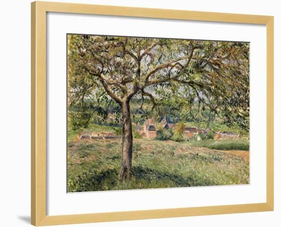 Apple Tree in Eragny, 1884-Camille Pissarro-Framed Giclee Print