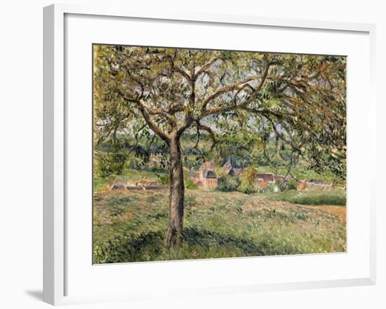 Apple Tree in Eragny, 1884-Camille Pissarro-Framed Giclee Print