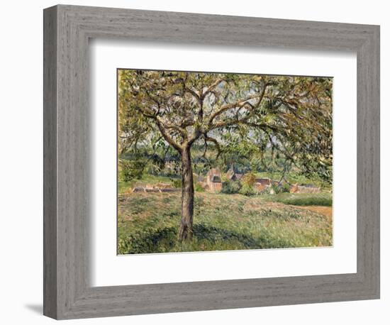 Apple Tree in Eragny, 1884-Camille Pissarro-Framed Giclee Print