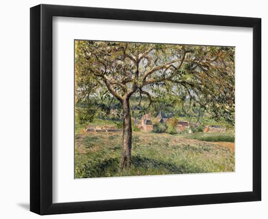 Apple Tree in Eragny, 1884-Camille Pissarro-Framed Giclee Print