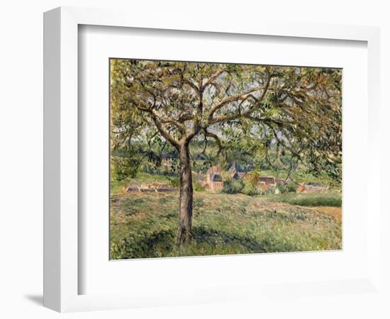 Apple Tree in Eragny, 1884-Camille Pissarro-Framed Giclee Print