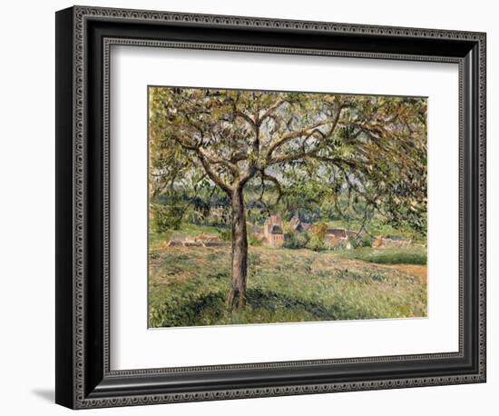 Apple Tree in Eragny, 1884-Camille Pissarro-Framed Giclee Print