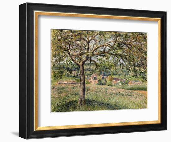 Apple Tree in Eragny, 1884-Camille Pissarro-Framed Giclee Print