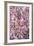 Apple Tree, Malus Spec., Branches, Blossoms, Pink-Chris Seba-Framed Photographic Print