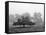 Apple Tree, Southfield, Michigan 85-Monte Nagler-Framed Premier Image Canvas