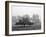Apple Tree, Southfield, Michigan 85-Monte Nagler-Framed Photographic Print