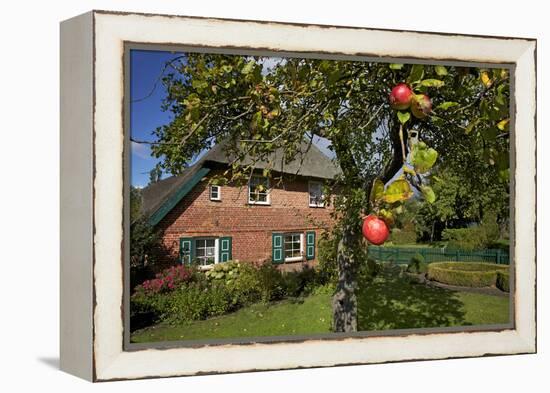 Apple-Tree with Ripe Apples in Front of a Farmhouse-Uwe Steffens-Framed Premier Image Canvas