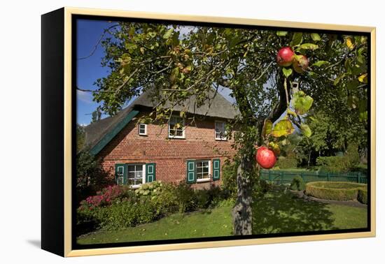 Apple-Tree with Ripe Apples in Front of a Farmhouse-Uwe Steffens-Framed Premier Image Canvas