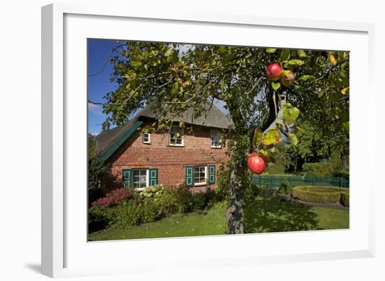 Apple-Tree with Ripe Apples in Front of a Farmhouse-Uwe Steffens-Framed Photographic Print