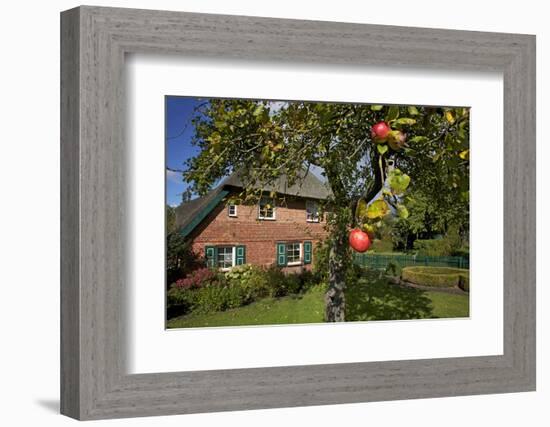 Apple-Tree with Ripe Apples in Front of a Farmhouse-Uwe Steffens-Framed Photographic Print