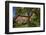 Apple-Tree with Ripe Apples in Front of a Farmhouse-Uwe Steffens-Framed Photographic Print