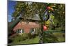 Apple-Tree with Ripe Apples in Front of a Farmhouse-Uwe Steffens-Mounted Photographic Print