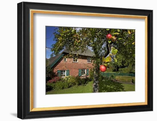 Apple-Tree with Ripe Apples in Front of a Farmhouse-Uwe Steffens-Framed Photographic Print