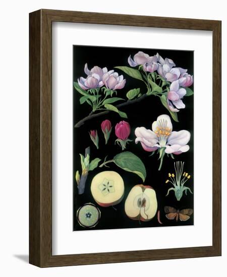 Apple Tree-null-Framed Giclee Print