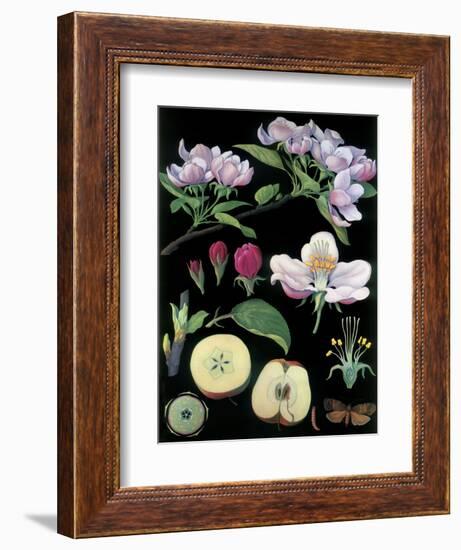 Apple Tree-null-Framed Giclee Print