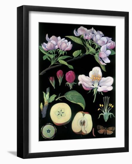 Apple Tree-null-Framed Giclee Print