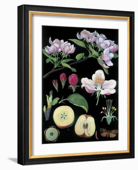 Apple Tree-null-Framed Giclee Print