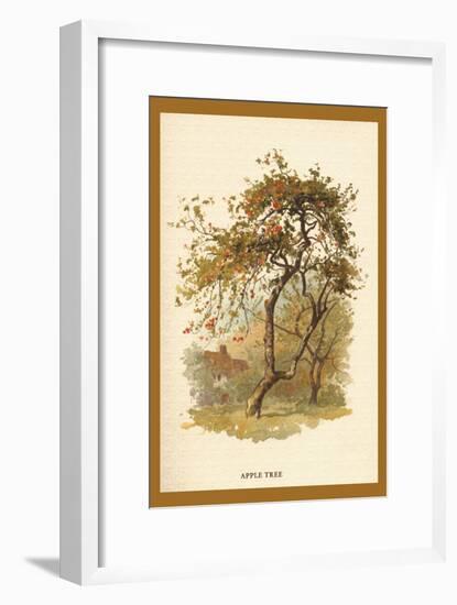 Apple Tree-W.h.j. Boot-Framed Art Print