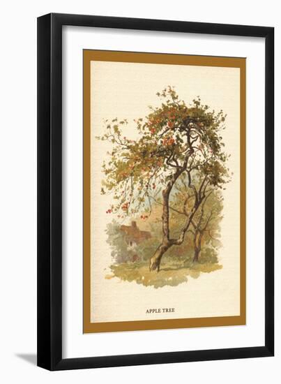 Apple Tree-W.h.j. Boot-Framed Art Print