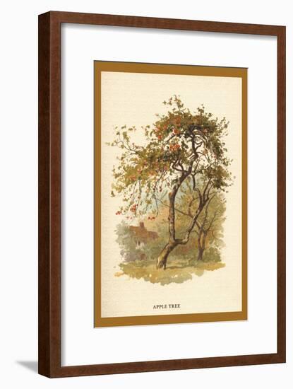 Apple Tree-W.h.j. Boot-Framed Art Print