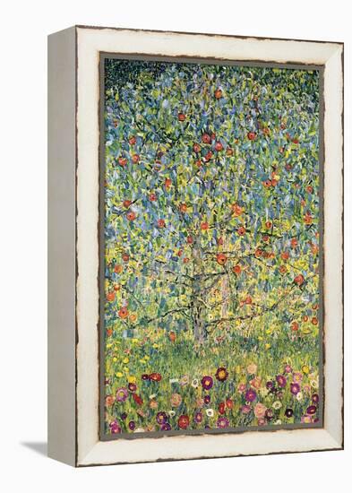 Apple Tree-Gustav Klimt-Framed Stretched Canvas