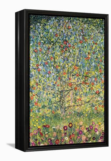 Apple Tree-Gustav Klimt-Framed Stretched Canvas