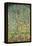 Apple Tree-Gustav Klimt-Framed Stretched Canvas